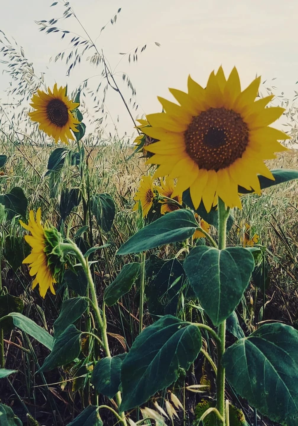 fdb75bbd e38b 4dd9 b80e 6168d873d622